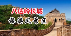 外国大鸡巴操逼视频中国北京-八达岭长城旅游风景区